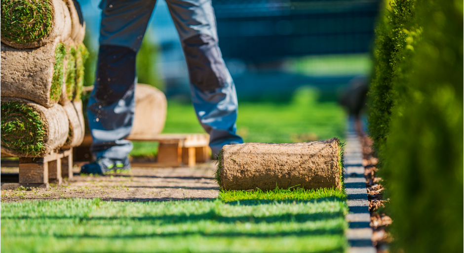 Unrolling a new lawn before your eyes.