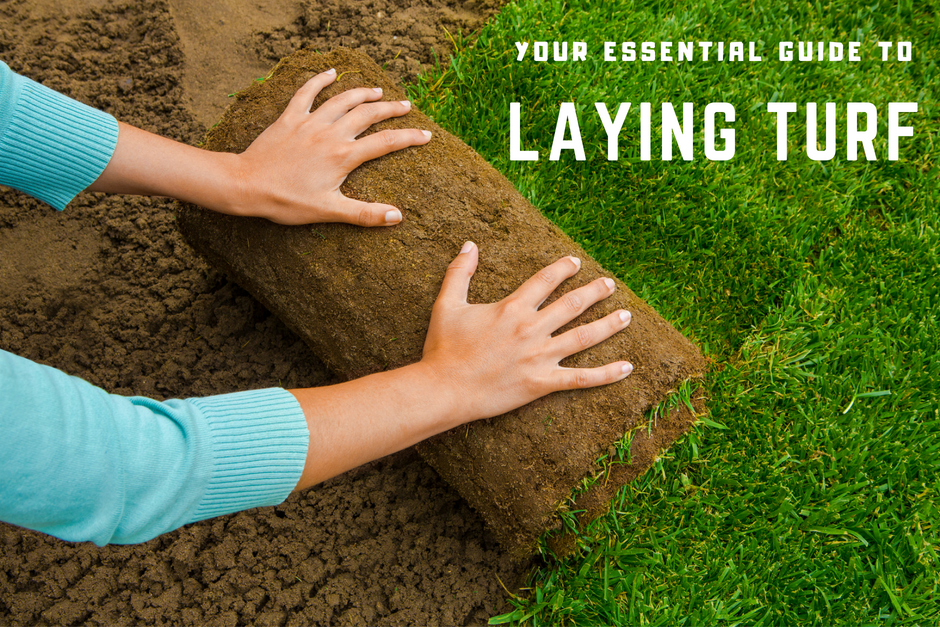Step by step process to laying lawn turf. 